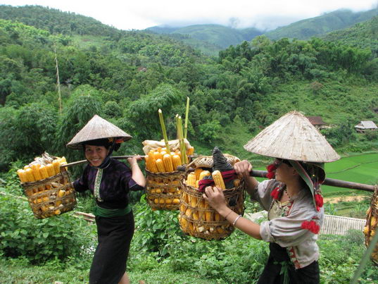 Sapa_mercado etnico vietnam